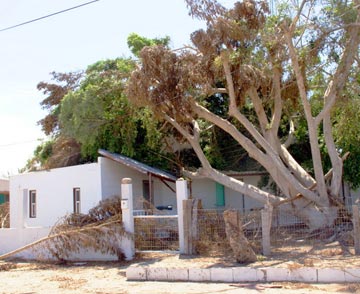 Damaged houses at Puerto Lopez Mateos 2.