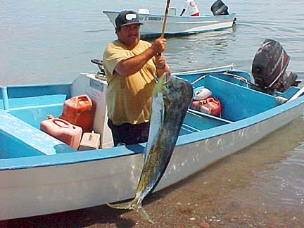 Mexico Sportfishing Photo 2