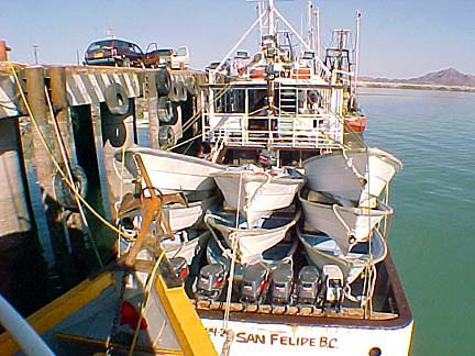 Jose Andres panga mothership, Baja California, Mexico, at pier at San Felipe.