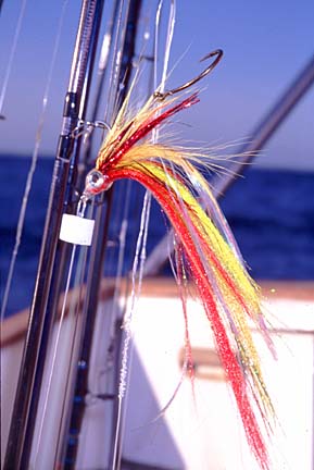 Magdalena Bay, Baja Fly Fishing Photo 6
