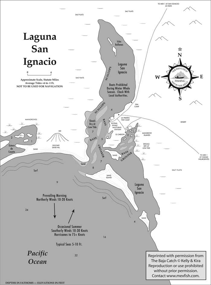 Laguna San Ignacio Fishing Map