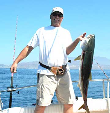 Yellowtail caught at Isla Cedros, Mexico.