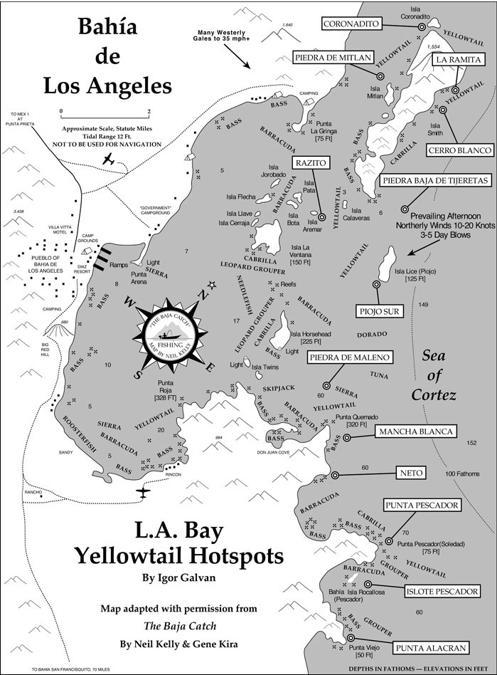 Map of yellowtail fishing hotspots at Bahia de los Angeles.