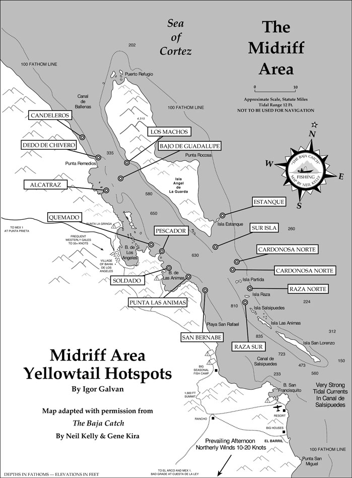 Sea of Cortez Midriff Area Yellowtail Fishing Hotspots Map