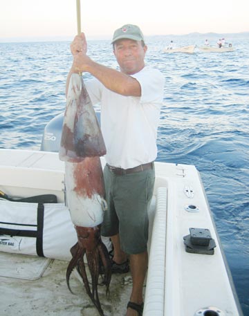 Humbolt giant squid caught off San Jose del Cabo, B.C.S., Mexico.