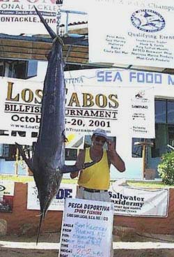 Photo of Sam Kahazan's 202-pound striped marlin, 2001 Los Cabos Billfish Tournament.