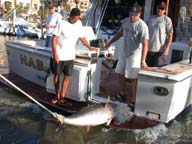 Western Outdoor News Los Cabos Tuna Jackpot photo #27, Cabo San Lucas, Mexico.