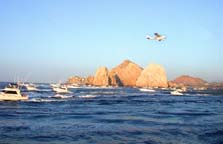 Western Outdoor News Los Cabos Tuna Jackpot photo #8, Cabo San Lucas, Mexico.