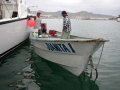 Photo of bait seller's panga, Cabo San Lucas marina.