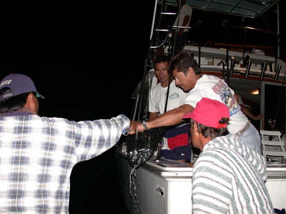 Photo of pangueros selling bait to a sportfishing cruiser at Cabo San Lucas, Mexico.