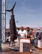 Blue Marlin at Cabo San Lucas.