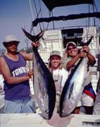 Yellowfin Tuna at Cabo San Lucas.