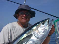 Yellowfin Tuna at Cabo San Lucas.