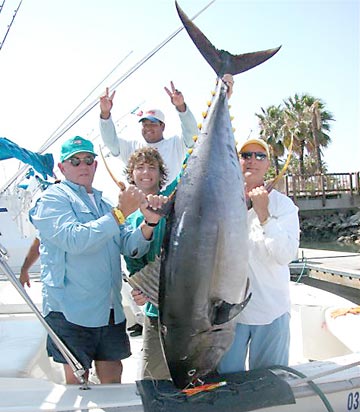 Photo of big yellowfin tuna caught at Cabo San Lucas, Mexico.