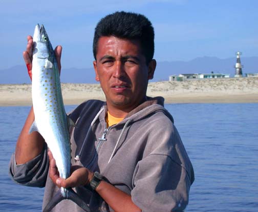 Photo of Hector Marquez with a sierra, East Cape, Mexico.