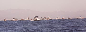 East Cape Mexico marlin pile-up fishing photo 1