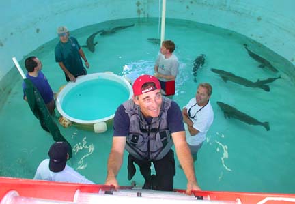 Photo of Richard Herrmann at the UABC totoaba lab, Ensenada, Baja California, Mexico.