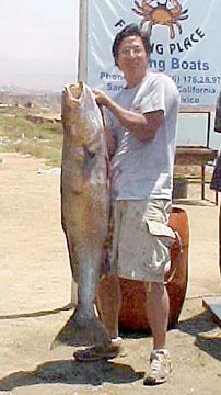 Mexico Fishing Photo