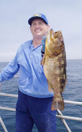 Calico Bass or Kelp Bass fish picture 2