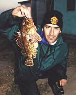 California Scorpionfish picture 5