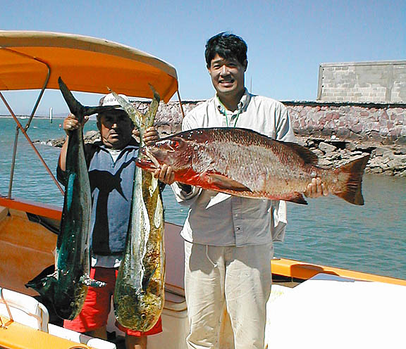 Dog Snapper fish picture 6