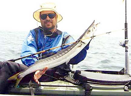 Pacific Barracuda fish picture 3