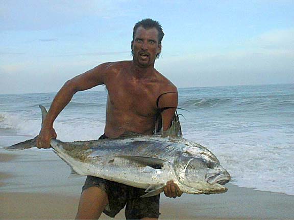 Roosterfish fish picture