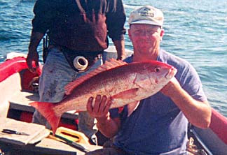Red Snapper picture 3