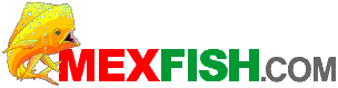 Magdalena Bay Fishing Report Logo