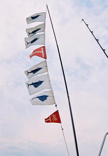 Do you fly meat flags? - Page 2 - The Hull Truth - Boating and Fishing Forum