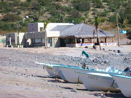 Gigling Marlin, Ensenada de los Muertos, or Bay of Dreams, La Paz, Baja California Sur, Mexico, Photo