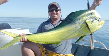 Photo of dorado caught while fishing at Loreto, Mexico.