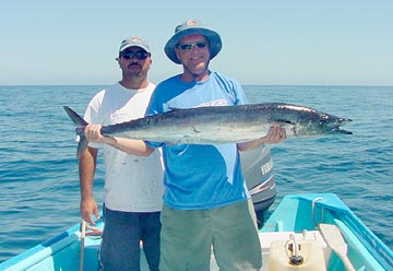 Photo of wahoo caught while fishing at Loreto, Mexico.