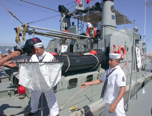 Photo of Mexican sailors releasing totoaba at San Felipe, Mexico.