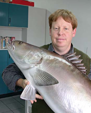 Photo, Conal True, and totoaba mount, Ensenada, Baja California, Mexico.