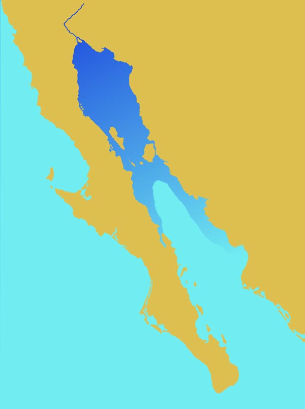 Map showing range of totoaba in Mexican waters, Sea of Cortez.