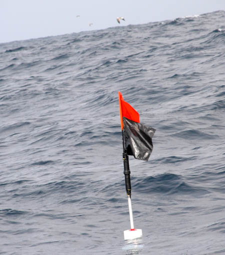 Mexico Fishing Photo of Steve Ross' fish strike marker flag.