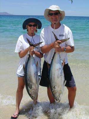 yellowfin tunas