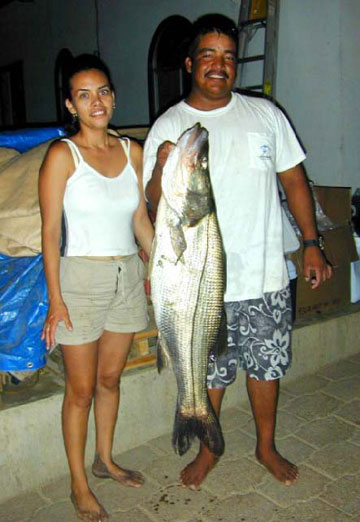 Capt. Chame at San Jose del Cabo