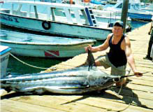 Blue marlin at Cabo San Lucas