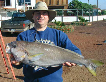 ocean whitefish