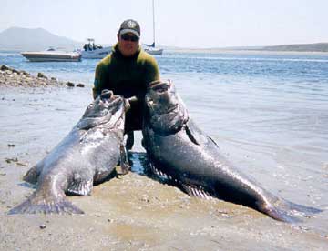 Mexico Fishing Photo