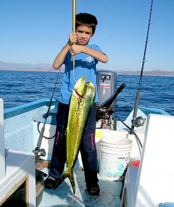 Mexico Sportfishing Photo 61