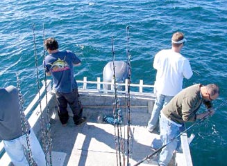 San Quintin Sportfishing Photo 2