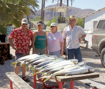 Mulege Sportfishing Photo 1