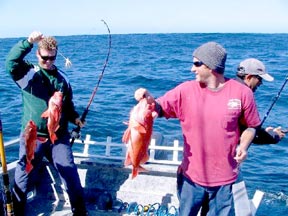 San Quintin Sportfishing Photo 1