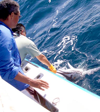 Cabo San Lucas Fishing Photo 2