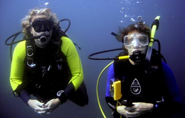 East Cape Mexico Diving Photo 1