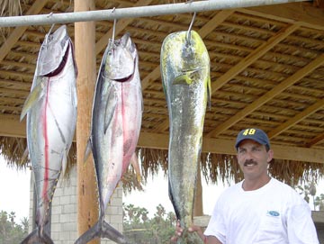Los Cabos Mexico Fishing Photo 2