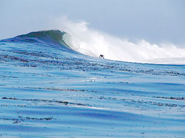 San Quintin surfing Photo 1